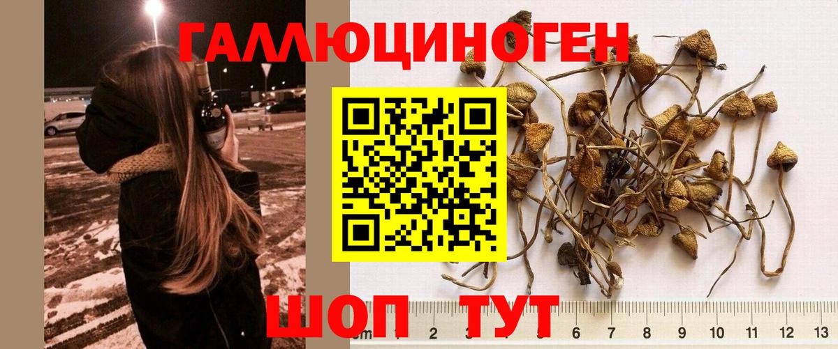 цены наркотик  Вход с VPN  Кыштым  Галлюциногенные грибы мухоморы 